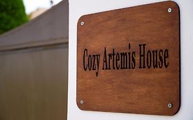 Cozy Artemis House Near Athens Airport